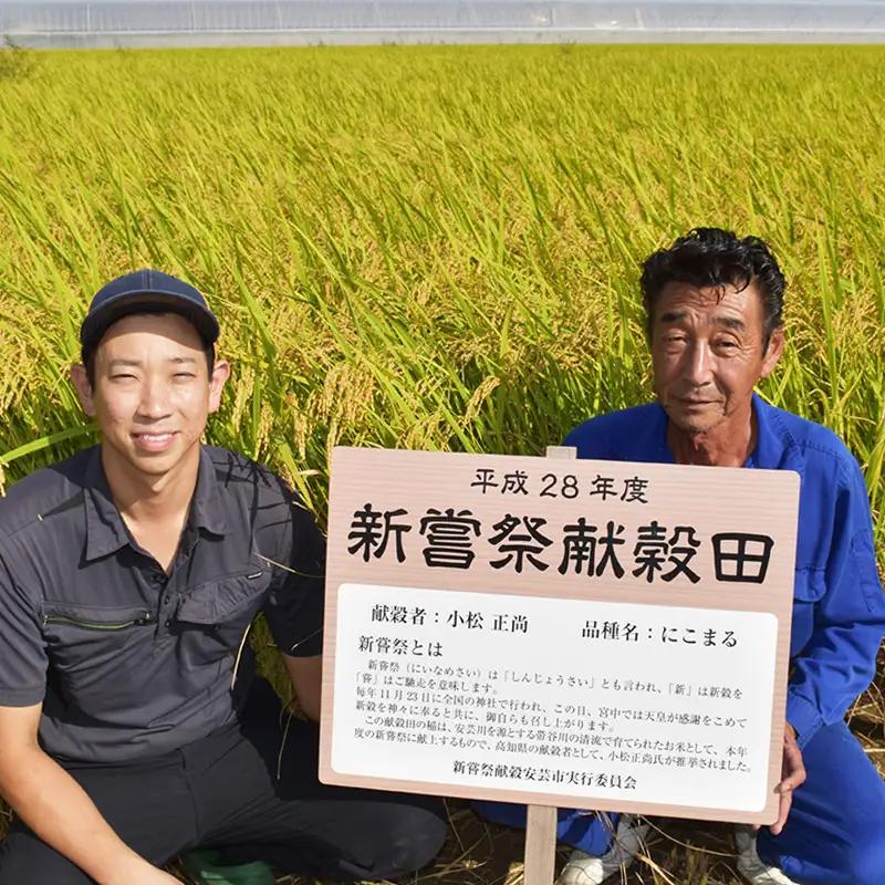 先行受付 令和8年産 にこまる玄米 20kg 5kg×4回 定期便 【にこまる】