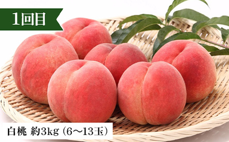【定期便 3回】桃から始まる満足定期便(1) 桃 もも 白桃 すもも 秋姫 シャインマスカット 果物 フルーツ 山形県 中山町 F4A-0451