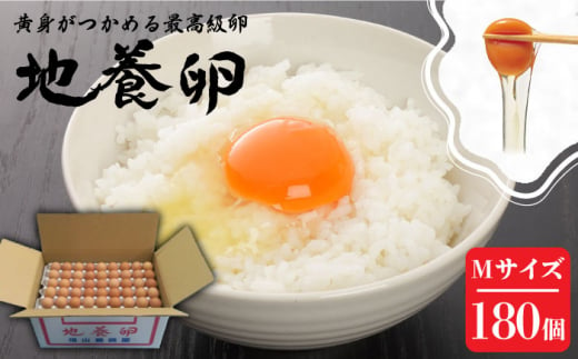 最高級 卵 地養卵 Mサイズ 180個 長崎県産 西海市 たまご 卵 玉子 タマゴ 鶏卵 オムレツ 卵かけご飯 朝食 料理 人気 卵焼き＜垣山養鶏園＞ [CBB009]