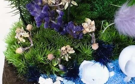 【さとリウム®】プリザーブド加工のテラリウム 夏 1セット｜ テラリウム ガラスドーム 苔 こけ コケ 植物 鑑賞用 インテリア 水やり不要