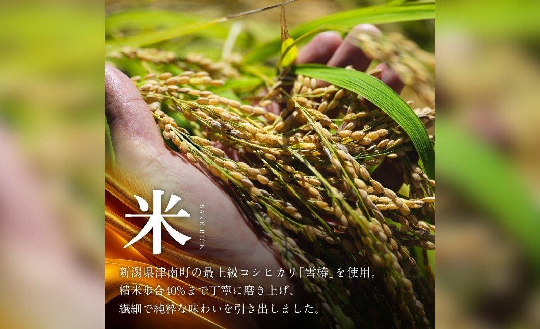 新潟県津南町産最上級米「雪椿」を40％精米し、繊細で純粋な味わいに