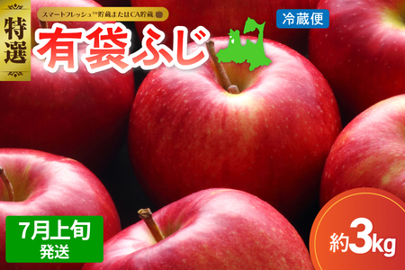【2026年7月上旬発送】≪特選≫りんご有袋ふじ3kg スマートフレッシュ貯蔵またはCA貯蔵・クール便