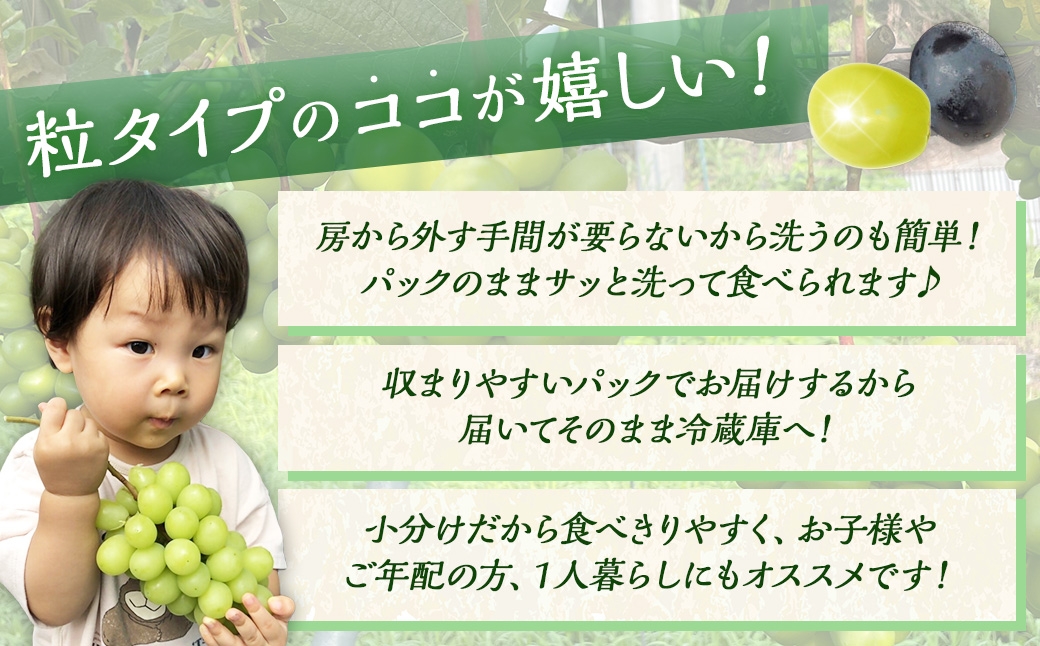 【数量限定】粒パック 訳あり シャインマスカット（約500g）& BKシードレス （約500g） 計約1kg（各1パック）