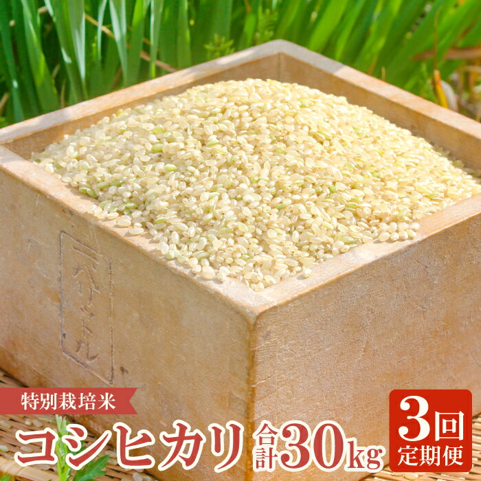 【ふるさと納税】【定期便】【新米】横尾衛門のコシヒカリ 玄米 10kg×3回 コース 3ヵ月 毎月お届け 特別栽培米 精米 産地直送 こしひかり ご飯 弁当 おにぎり 夕食 定番 特産品 ブランド米 お米 お取り寄せ