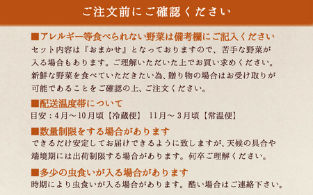 【岡山の旬をお届け！】 真庭あぐり野菜セット（野菜10品・卵・ヨーグルトのセット） / 産地直送 農家 お試し おためし野菜 岡山県 旬野菜 新鮮 あぐりガーデン 国産  国産 蒜山 ジャージー ヨー