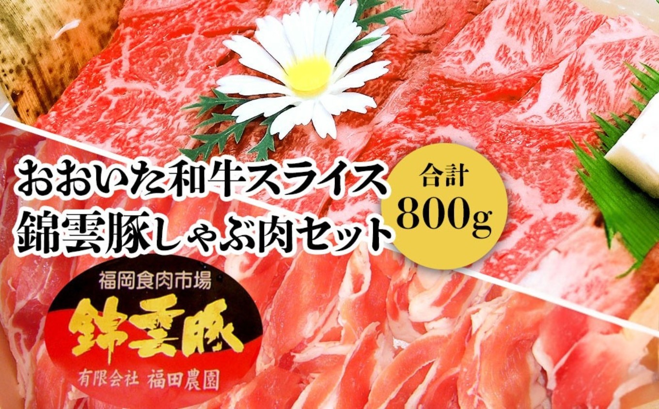 
            おおいた和牛 錦雲豚 しゃぶしゃぶ セット 合計800g 牛スライス肉(400g) 豚バラ肉(200g) 豚ロース肉(200g) セット ｜ 詰め合わせ おおいた和牛 黒毛和牛 冷凍 豚肉 九州産 国産 送料無料
          