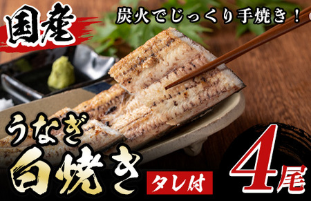 国産！うなぎ白焼き(4尾・タレ付き) 国産 九州産 鰻 ウナギ 無頭 魚 魚介類 かばやき 蒲焼 蒲焼き しろやき 白焼 おかず 特産品 お土産 ギフト プレゼント 冷蔵 【尾方屋】_y509