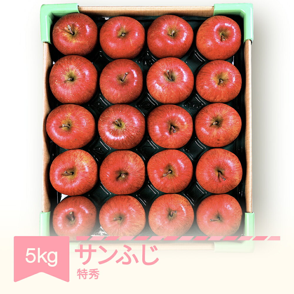 【ふるさと納税】先行予約 りんご サンふじ 約5kg 特秀品 リンゴ 林檎 令和8年産 2026年産 果物 フルーツ 山形県産 送料無料 ※沖縄・離島への配送不可 mm-risft5