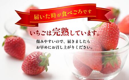 やよいひめ 280g×12パック 約3.4kg 2027年 先行予約