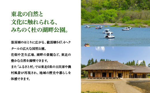 【みちのく杜の湖畔公園】シルバー（65歳以上）1名年間パスポート＋駐車場１台分年間パスポート　【04324-0402】