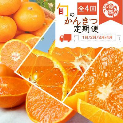 ふるさと納税 由良町 【発送月固定定期便】紀州和歌山産旬の柑橘セット(みかん・不知火・せとか・清見)全4回