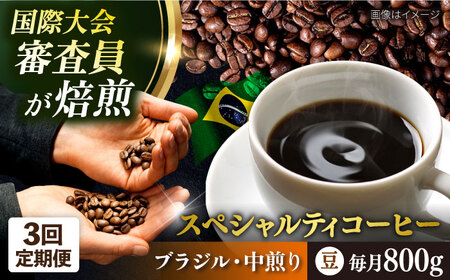 【全3回定期便】コーヒー豆 自家焙煎 中煎り ブラジル 200g×4 TSUKIKOYA COFFEE ROASTER ツキコヤ 珈琲 こだわり 横須賀【株式会社RUINS】 [AKAD025]