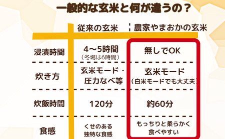 先行予約★自然栽培米 ★2カ月毎６回★新米 【令和6年産 】玄米 5kg ９月末より順次発送/自然栽培米 新米 令和6年産 玄米  農家やまおか 無農薬 国産 お米 奈良県 宇陀市