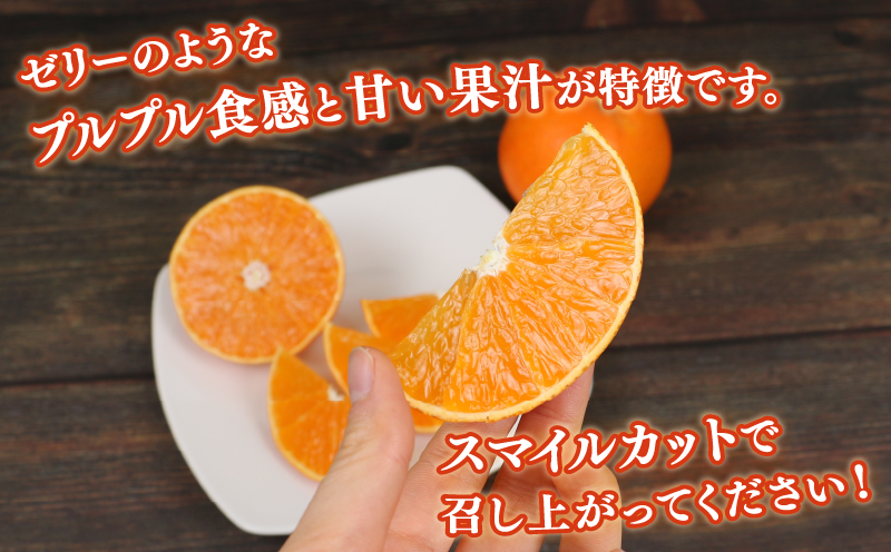 愛果28号 2.5kg 愛媛みかん 兵頭農園 先行予約 みかん mikan 愛媛ミカン あいか 高級柑橘 愛媛蜜柑 果物 フルーツ 柑橘 みかん 高級 ブランド ゼリー プルプル 甘い 美味しい 人気