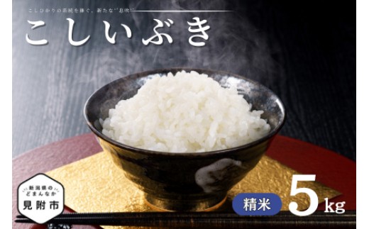 
                  令和7年産 新潟県産 こしいぶき 5kg 精米 米 お米 白米 おすすめ 人気 こめ コメ 新潟 見附 見附市 7年 2025年産 ふるさと納税 諸長
                