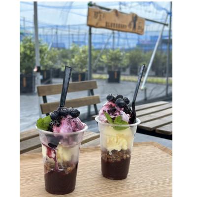 ふるさと納税 阿南市 みき農園のとびきり!ブルーベリーパフェ体験セット |  | 01