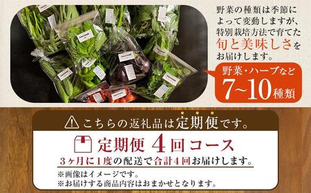 【定期便全4回】旬の採れたて 7～10種類お野菜詰め合わせセット TAGATAME タガタメ【野菜 特別栽培 栽培期間中農薬不使用 採れたて 香川県 さぬき市】