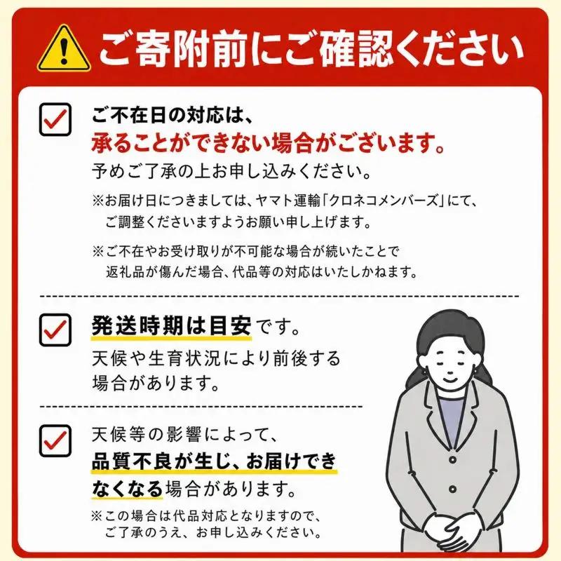 訳あり さつまいも 紅はるか 約10kg さつまいも