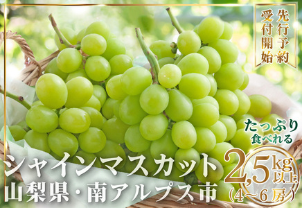 【2026年発送先行予約】大容量山梨県産 シャインマスカット2.5㎏以上(4～6房) ALPAI025