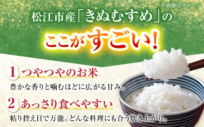 令和8年産 新米 米 定期便 きぬむすめ 松江市産 ごはん ソムリエ厳選 減農薬 10kg 白米 島根 お米 ギフト お歳暮