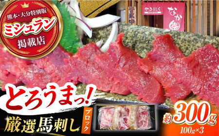 熊本 馬刺し「なか園」赤身馬刺し 約300ｇ【有限会社スイートサプライなかぞの】[ZBV065]