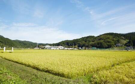 【数量限定】 新米 令和7年産 白米 5kg 品種 たかたのゆめ 〈ひとめぼれ×あきたこまち〉