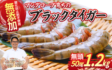 魚兵水産こだわりのブラックタイガー海老　 10尾5パック(計1200g程度)_大ぶり エビ 海鮮  小分け_【配送不可地域：離島】【1215914】