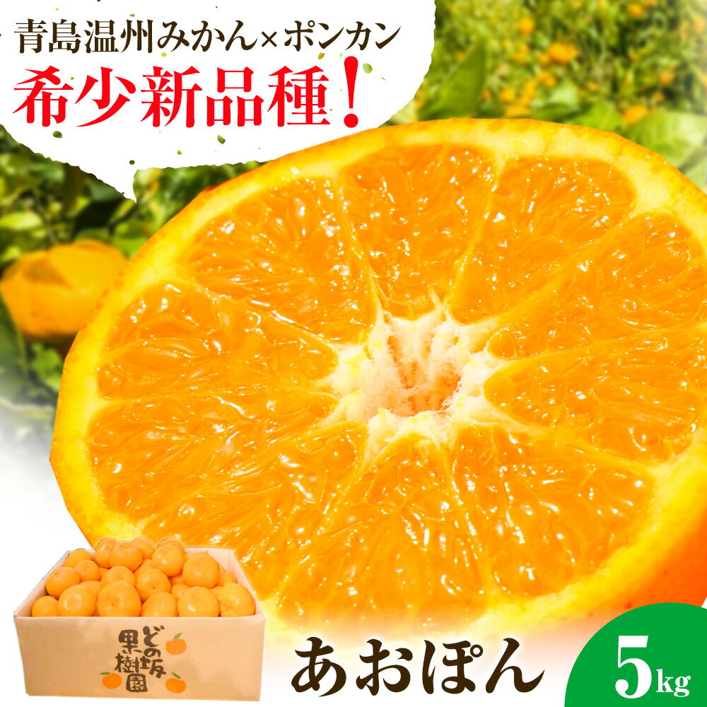 【ふるさと納税】あおぽん ( 青島温州みかん × ポンカン ) みかん ポンカン 約 5kg どの坂果樹園《2027年1月下旬-2月中旬頃出荷》 和歌山県 日高町 ぽんかん 旬 果物 フルーツ 柑橘 新品種 希少品種
