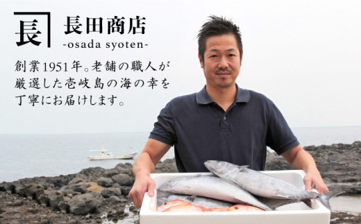 干物セット 4種 計13枚 《壱岐市》【長田商店】[JAO005] 干もの 干魚 海鮮 海産物 ひもの セット 詰め合わせ 食べ比べ あじ アジ 鯵 いわし イワシ 鰯 鯛 たい タイ 13000 1