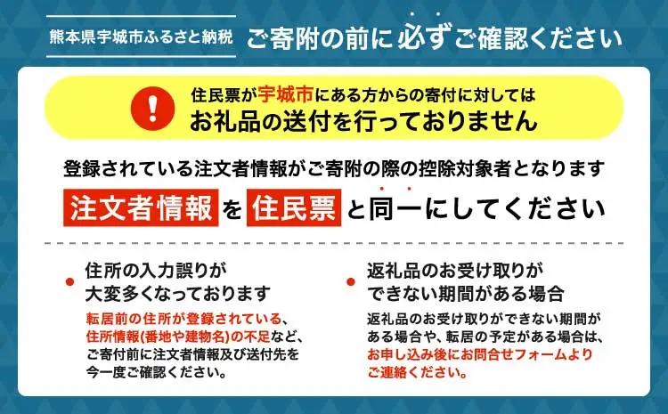 先行予約 令和9年産 荒造り新茶 3袋セット【2027年6月中旬〜6月下旬頃順次発送予定】 茶葉 お茶 新茶 緑茶
