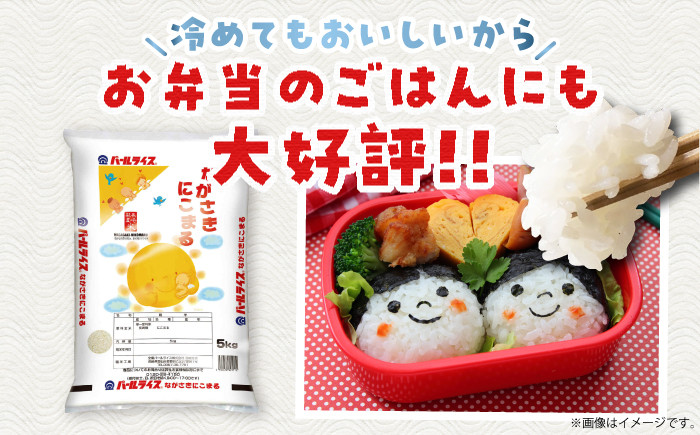 米 お米 ごはん コメ 白米 精米 国産 JA