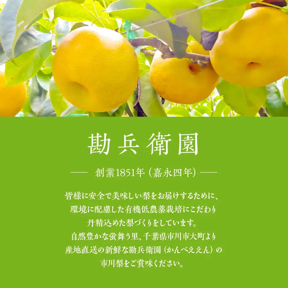 【勘兵衛園】和梨の生搾りジュース　180ml×6本　【12203-0335】