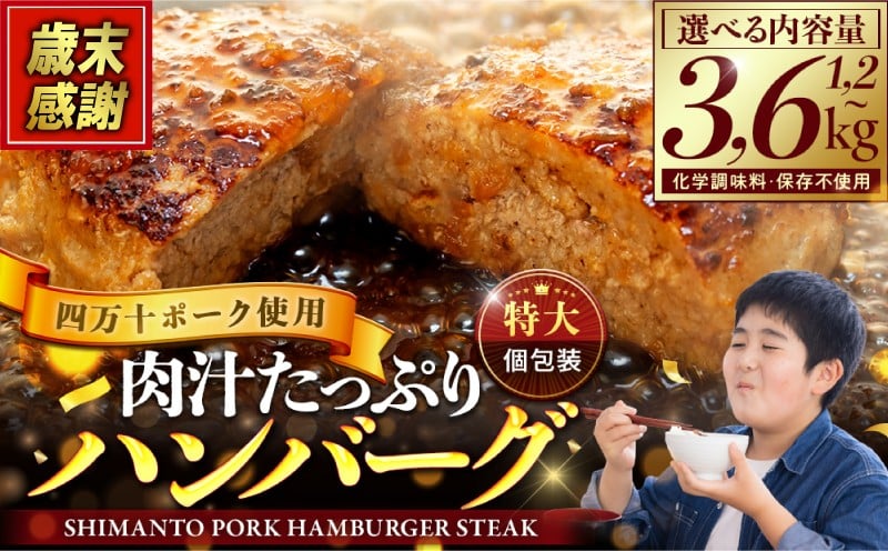 
            【 歳末感謝 】ハンバーグ 発送月が選べる 1.2kg 2.4kg 3.6kg 冷凍 真空 小分け 個包装  四万十ポーク 肉汁 たっぷり 大容量 大きめ 合挽き 牛肉 豚肉 保存料 不使用 ビーフ ポーク 合いびき肉 挽肉 ジューシー お弁当 おかず 惣菜 晩ごはん 贅沢 お取り寄せ 肉 ギフト 人気 高知県 須崎市 弁当 冷凍食品 お惣菜 はんばーぐ hannba-gu SNM
          