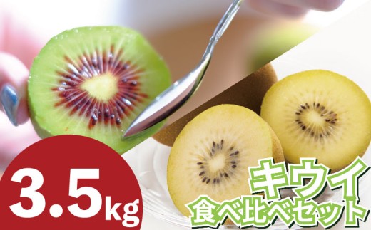 訳あり キウイフルーツ 食べ比べ セット3.5kg 先行予約 2026年10月上旬～ ゴールデンキウイ 紅妃 レインボーレッド キウイ 国産キウイフルーツ キウイフルーツゼリー キウイフルーツジュース キウイフルーツジャム キウイフルーツタルト キウイフルーツビタミンC キウイフルーツ追熟 キウイフルーツ訳あり 果物  キウイフルーツギフト プレゼント 贈答 送料無料 徳島県 吉野川市 くゆな農園