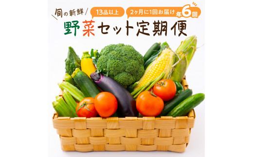 
                  定期便　旬の新鮮野菜セットＢ【年6回】たっぷり13品以上
                