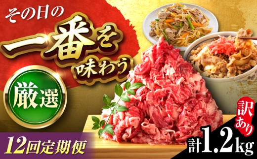 【全12回定期便】【訳あり】博多和牛 切り落とし 1.2kg(600g×2P) 吉富町/株式会社MEAT PLUS [BGAB094] 国産 和牛 ブランド牛 切り落とし 赤身 小分け きりおとし福岡県