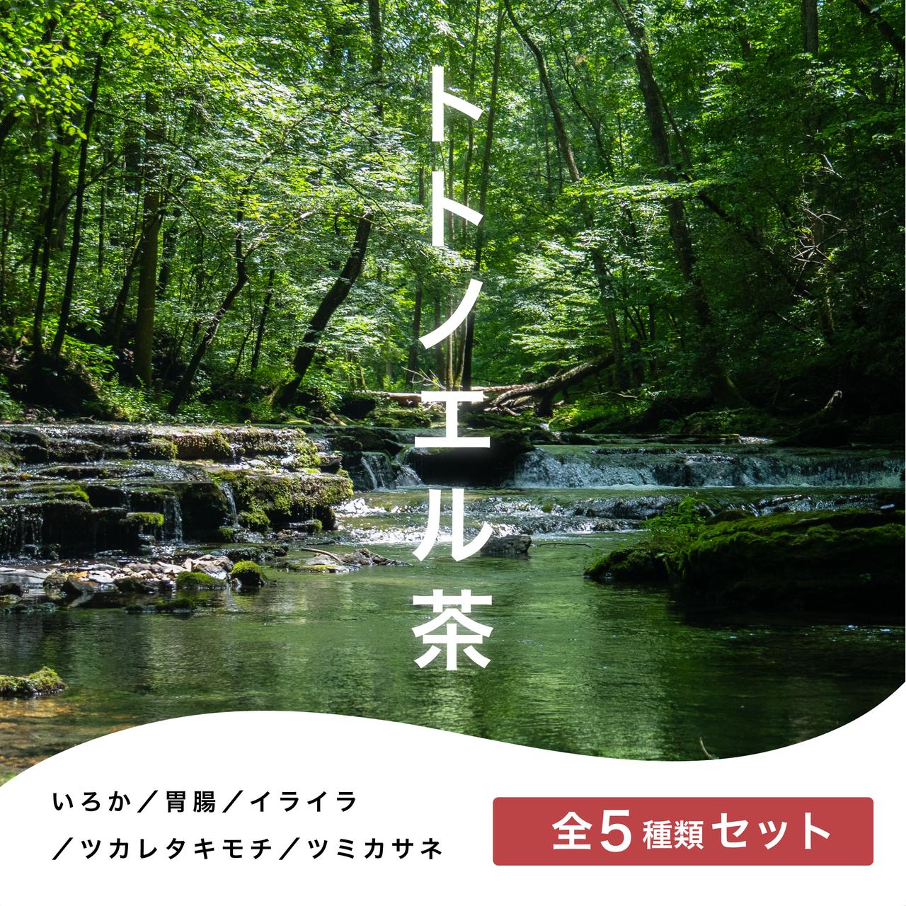 
            お茶 ブレンド茶 5種×各1包 漢方 健康茶 ブレンド ティー リラックス セルフケア 飲み比べ セット 詰め合わせ お取り寄せ 個包装 飲料 飲み物 伊勢志摩 伊勢 志摩市 三重県 5000円 5千円 五千円 「トトノエル茶シリーズ」 いろか 胃腸 イライラ ツカレタキモチ ツミカサネ 全5種類
          
