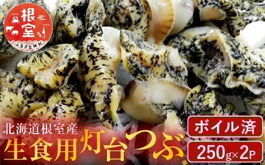 
            G-14040【12/10まで年内配送】  【北海道根室産】生食用灯台つぶ(ボイル済)250g×2P(計500g)
          