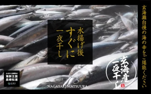 松浦・潮風のたより【B0-150】 魚 干し物 アジ サバ カマス イカ あご 海鮮 