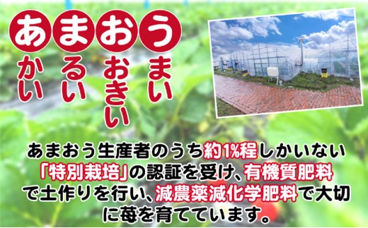 うるう農園の特選 あまおう 400g