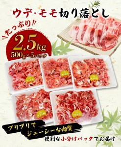 【希少すさみブランド豚】すさみ豚 切り落とし 2.5㎏ (ウデ・モモ切り落とし500g×5パック)/貴重 ブランド豚 小分け スライス お得 大容量 万能 炒め物 焼肉 しゃぶしゃぶ 生姜焼き 冷しゃ