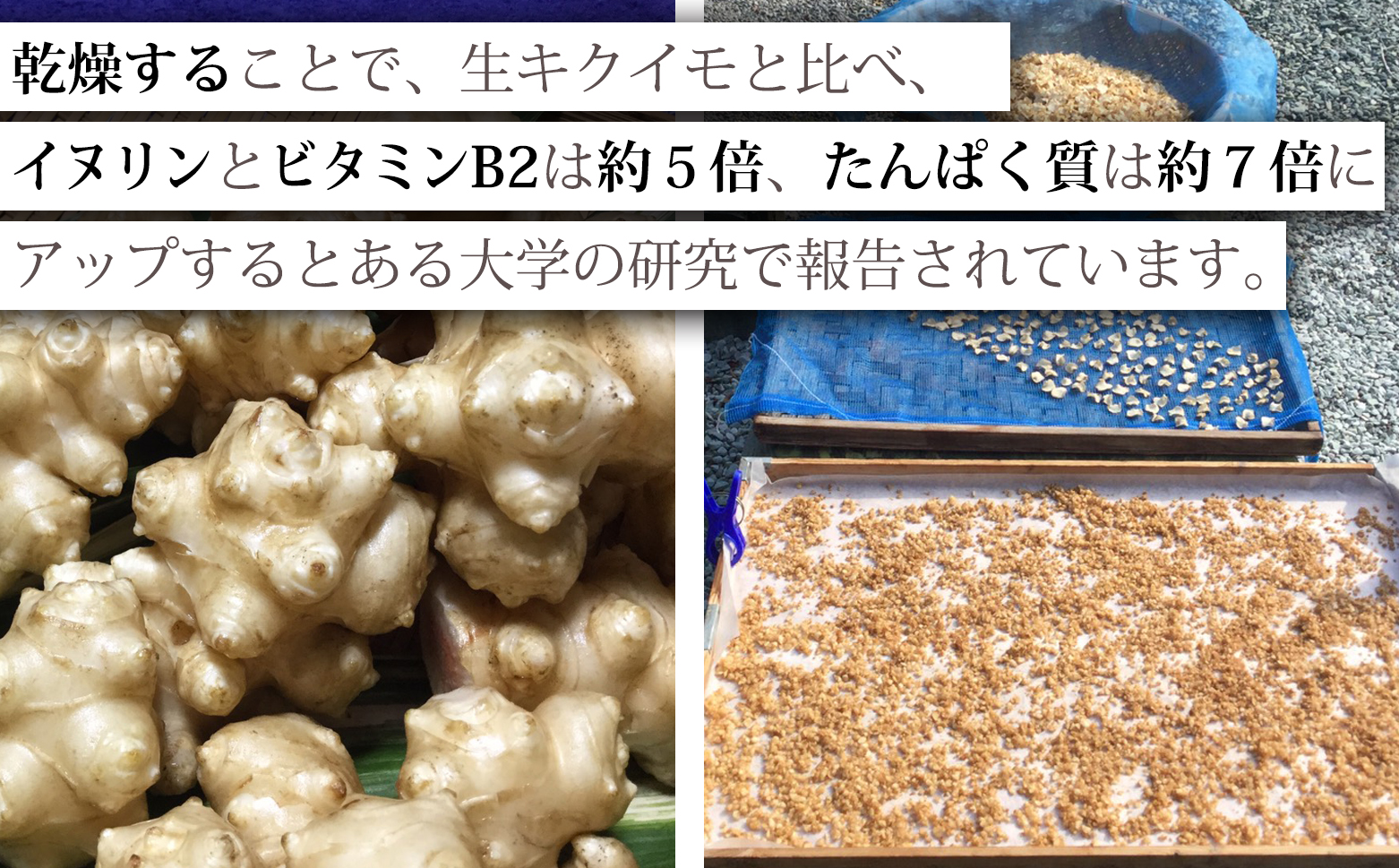 海部キクイモ顆粒 120ｇ×1袋 キクイモ 顆粒 120g×1袋 菊芋 きくいも 徳島 海部 海部キクイモ 【2025年3月中旬以降発送】