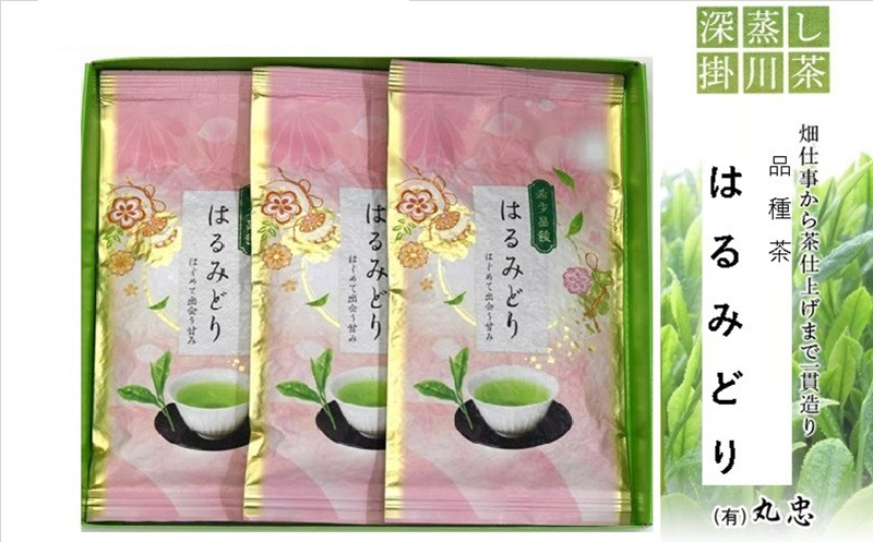 
２０７７　深蒸し掛川茶 品種茶「 はるみどり 」100ｇ×3本 ギフト箱入（➀新茶･令和7年5月上旬より発送　②令和6年度産：今すぐ発送 丸忠 （※新茶受付あり）
