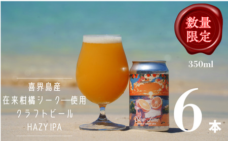 クラフトビールSlow Time ６本　5.5%　350ml