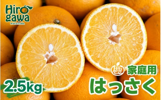 
                  はっさく 2.5kg+250g（痛み補償分） 家庭用 光センサー / 八朔 訳あり 甘い 和歌山 有田 柑橘 ※1月上旬〜4月下旬頃に順次発送予定 ※北海道・沖縄・離島への配送不可 【ikd021-c-2d5】
                