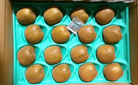 先行予約 キウイ 約3kg キウイフルーツ ゴールドキウイ さぬきゴールドキウイ 10月下旬～12月中旬 配送 家庭用 贈答用 ギフト プレゼント 香川県 丸亀市