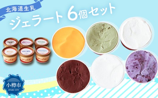 ジェラート 100ml×6個セット 全6種 北海道産生乳使用 北海道 石狩市 牧場 搾りたて 生乳 ジェラート ソルベ セット ギフト