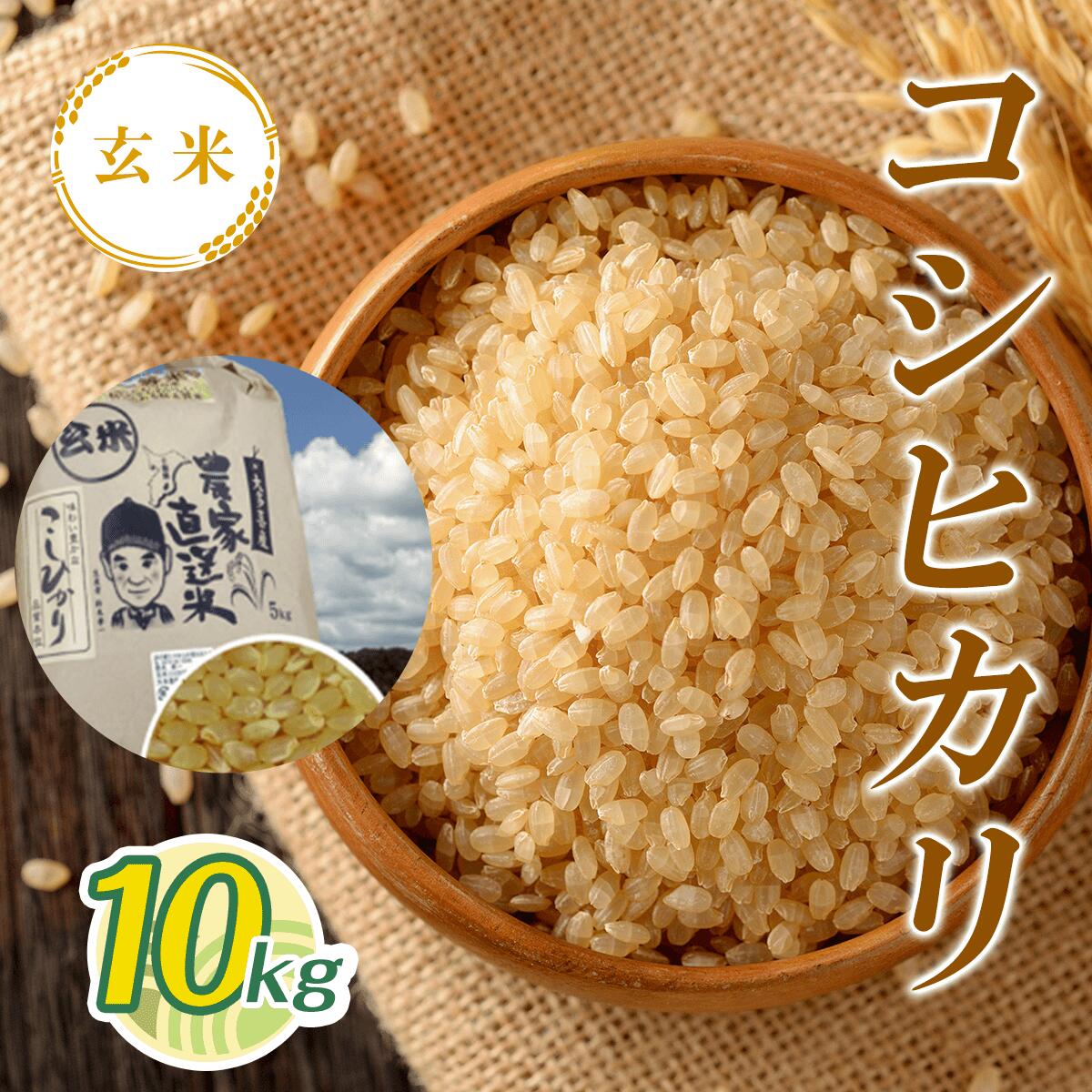 【ふるさと納税】令和7年産 新米 コシヒカリ玄米 10kg T01531 / 検査済米（1等） 米 玄米 コシヒカリ こしひかり こめ コメ ごはん ご飯 千葉県 大多喜町