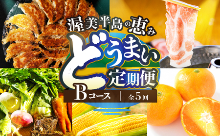 渥美半島の恵み どうまい 定期便 全5回 Bコース 選べる 定期便 田原市