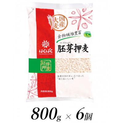 ふるさと納税 南アルプス市 はくばくの胚芽押麦　800g×6個